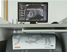 Image Here