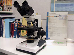 Image Here