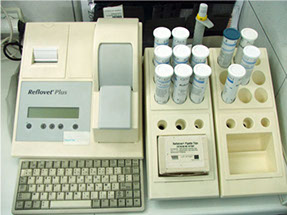 Image Here