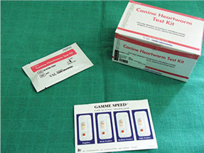 Image Here
